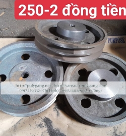 250-2 Đồng tiền